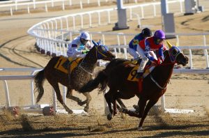 Top 10 Best Horse Racing Apps: Tested & Ranked for Indian Players (2026)