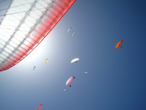 Free Dream11 Tutorial 2026: Step-by-Step Guide for India (2026)