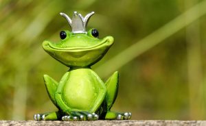 Is Legal Best Satta King Tips Legal in India? Complete 2026 Guide